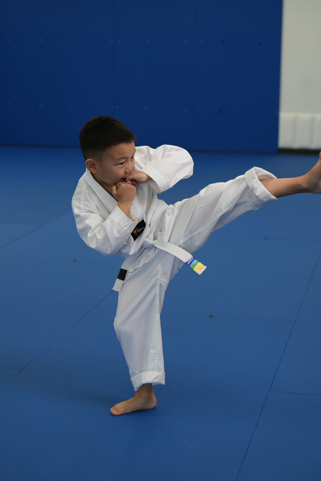 WK Martial Arts dojo training