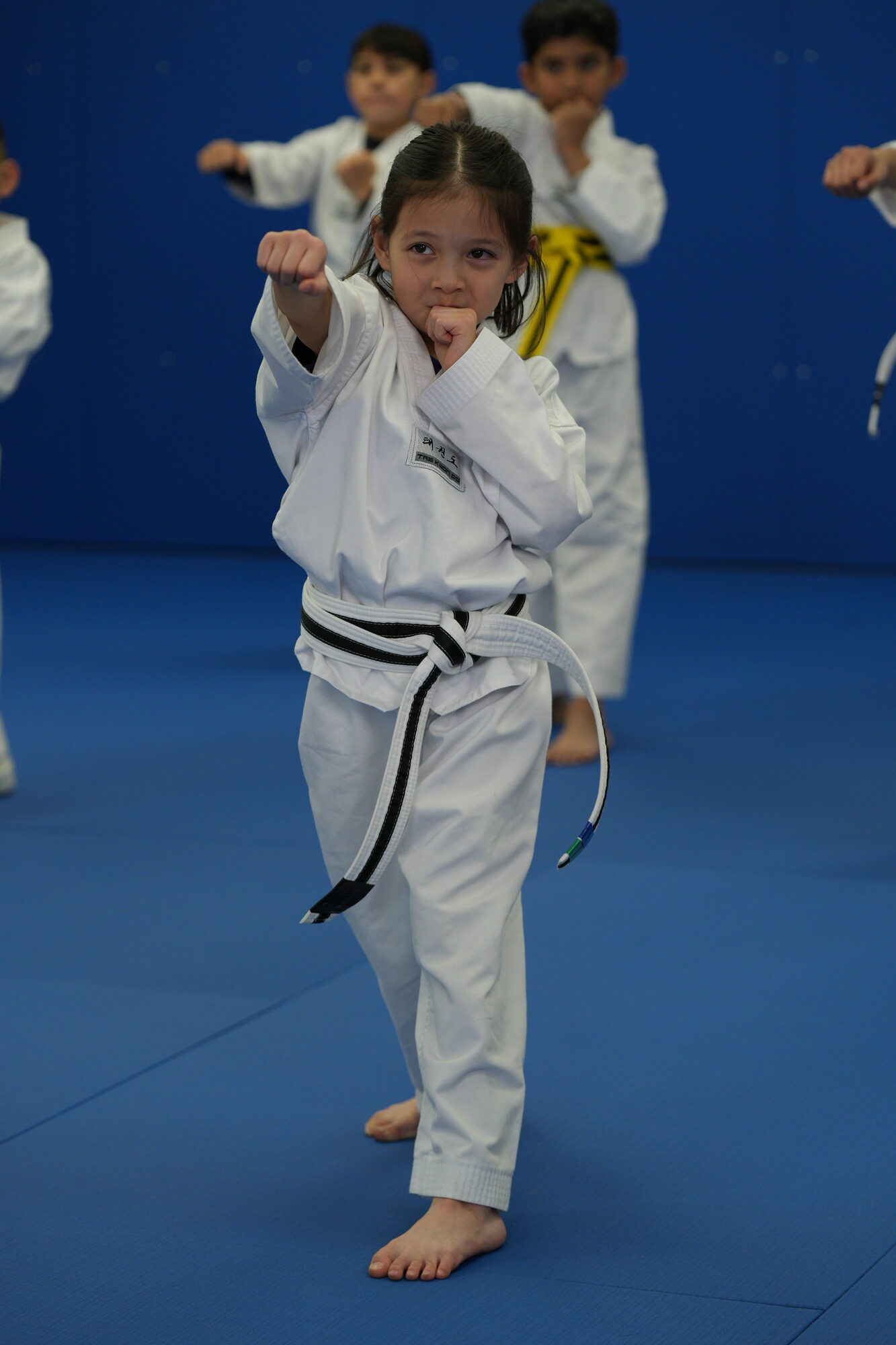 Taekwondo class in session