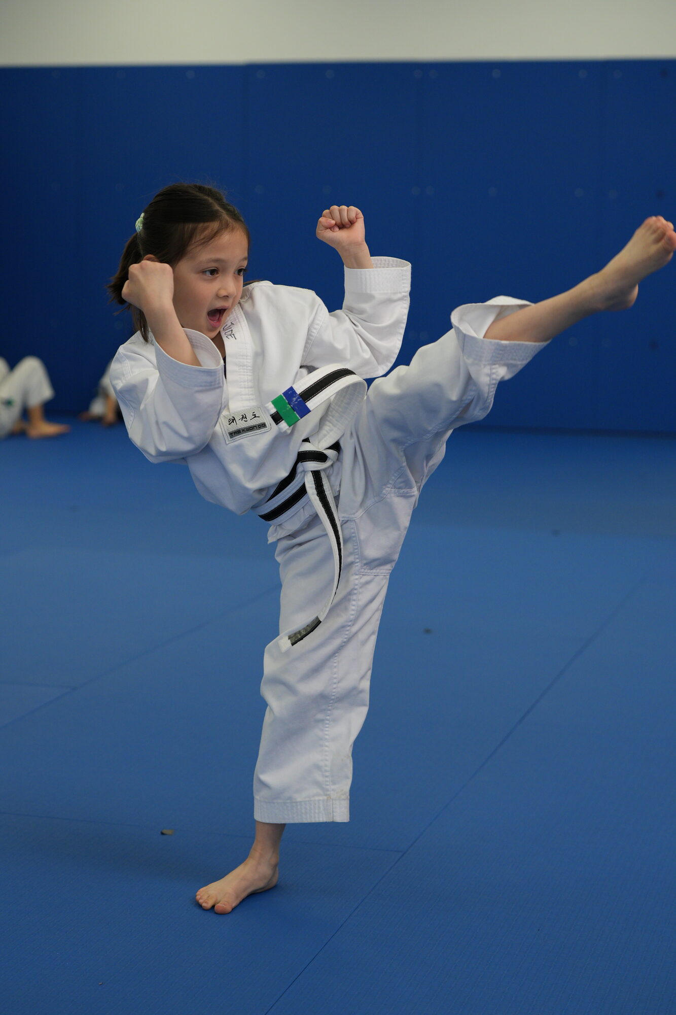 Character — Taekwondo training at WK Martial Arts
