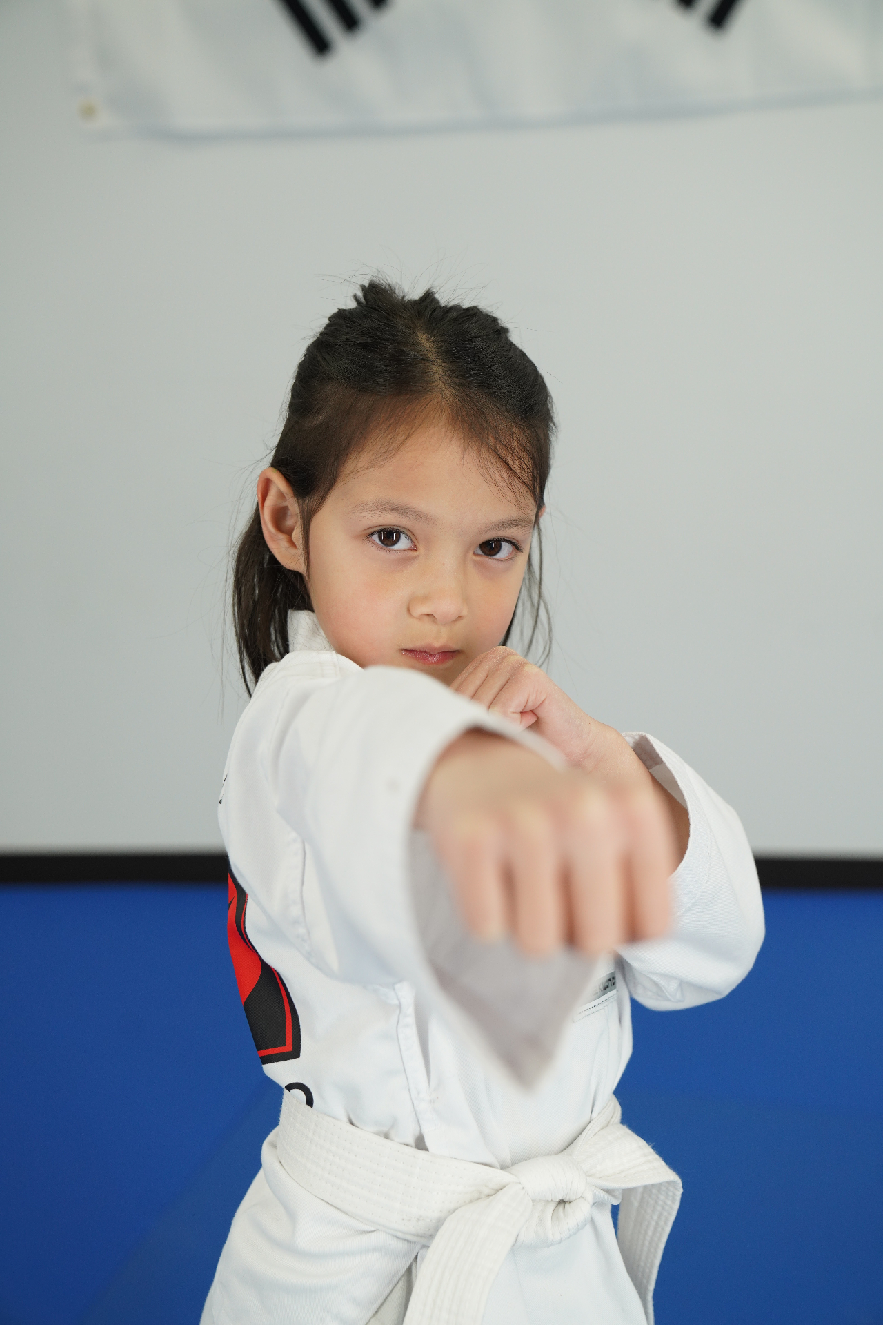 Youth (Ages 6–11) Taekwondo class at WK Martial Arts